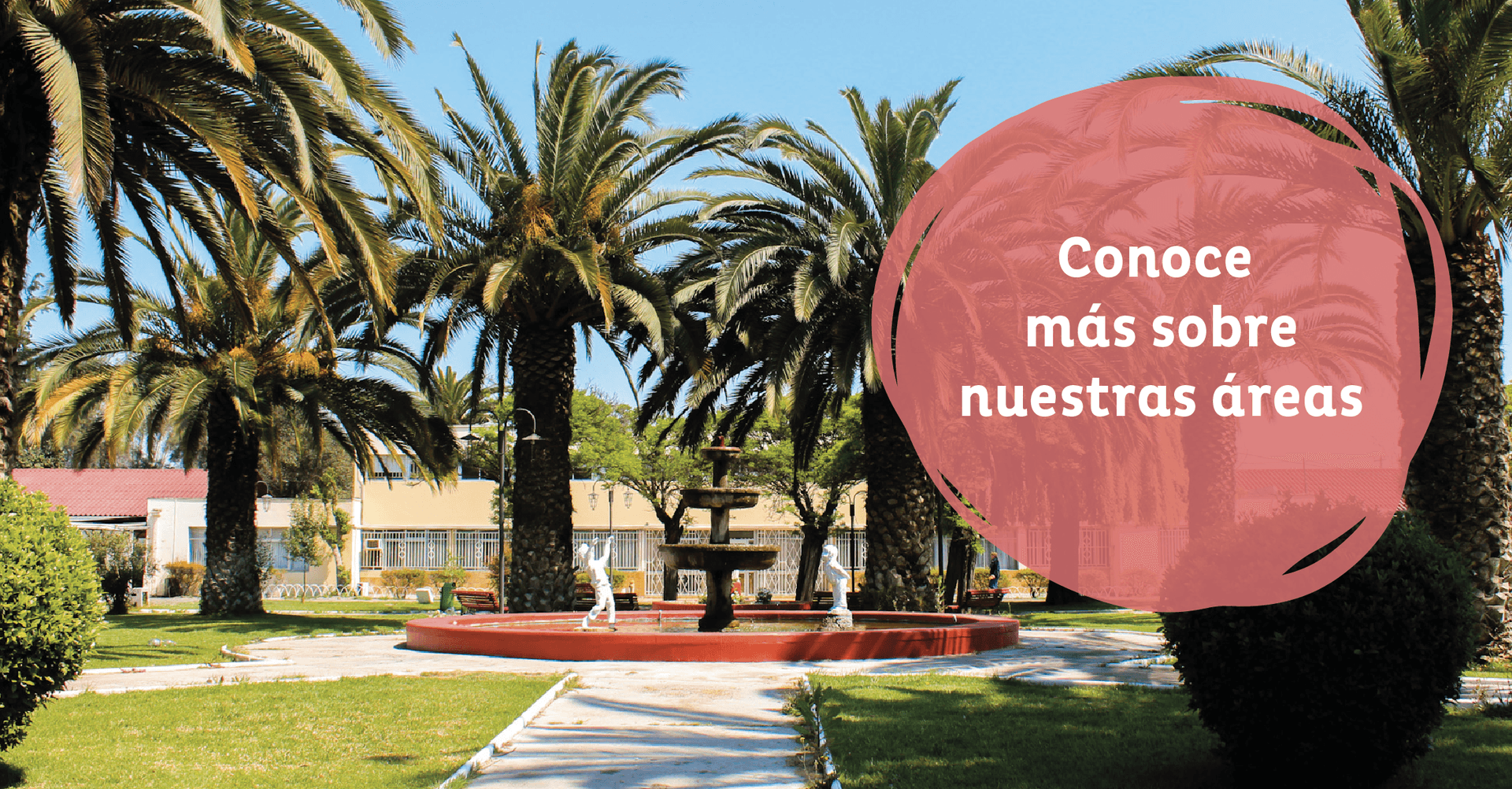 Banner Nuestras áreas-34-34.png