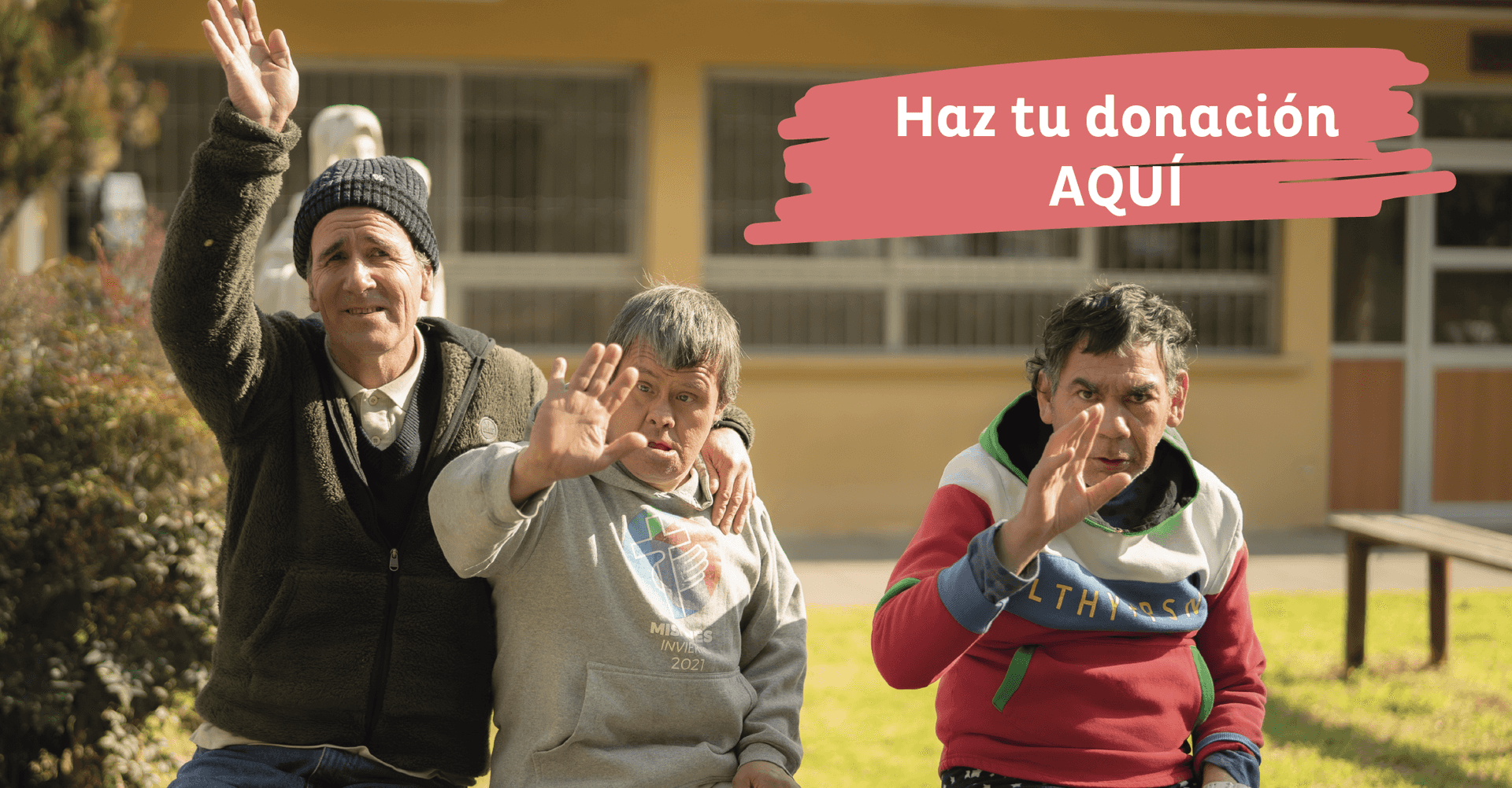 Banner ¿cómo ayudar.png